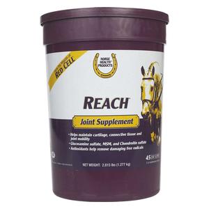 Reach Joint Supplement for Horses  Horse Health